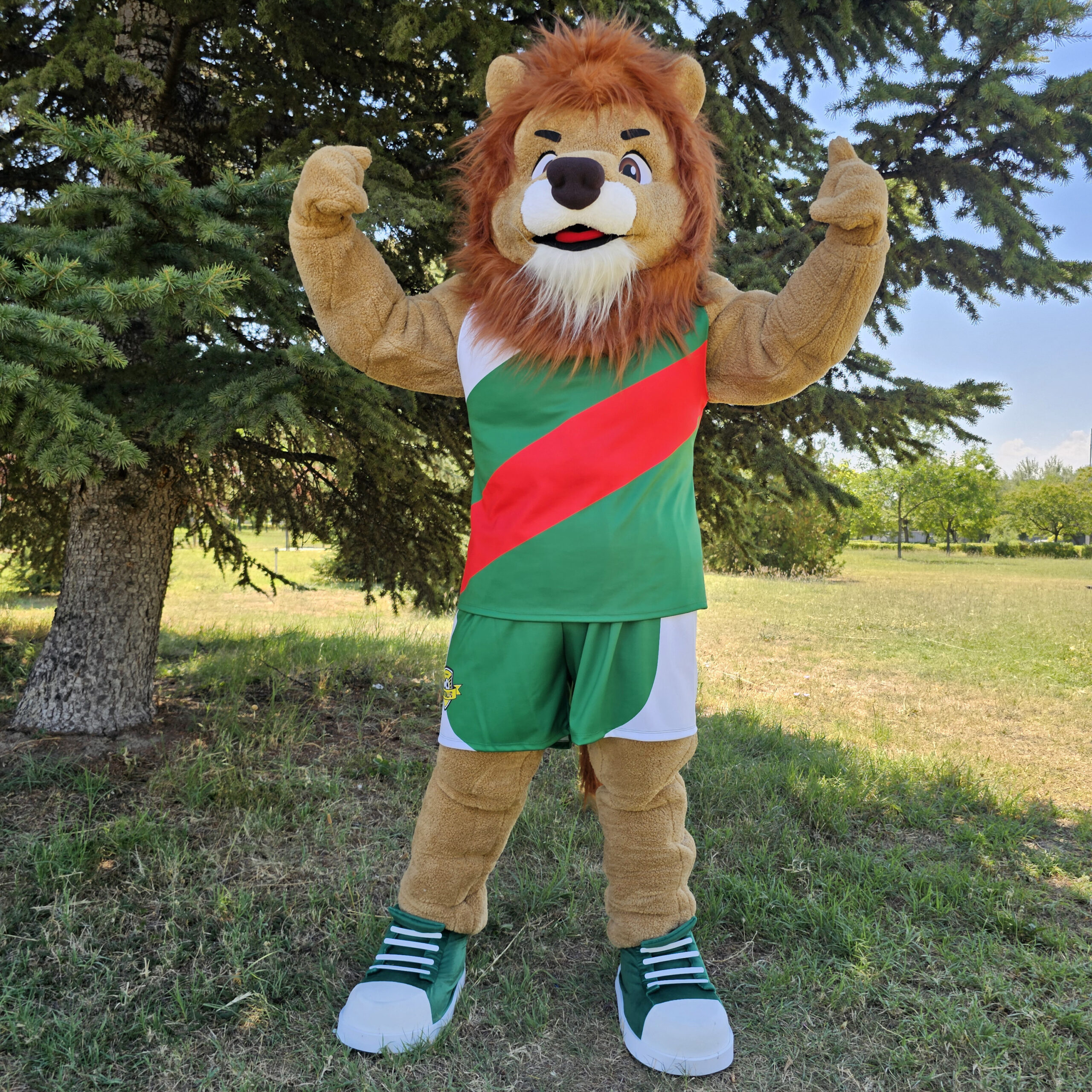 Mascot costumes
